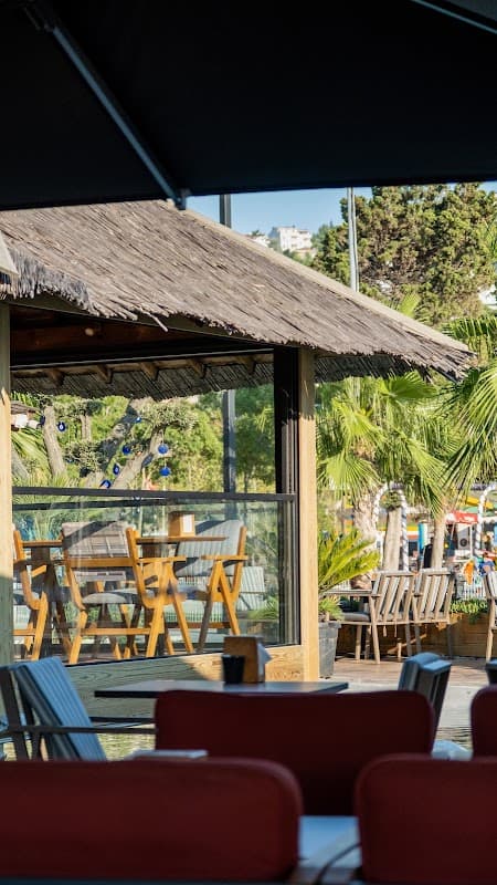 Festival Cafe - Beylikdüzü