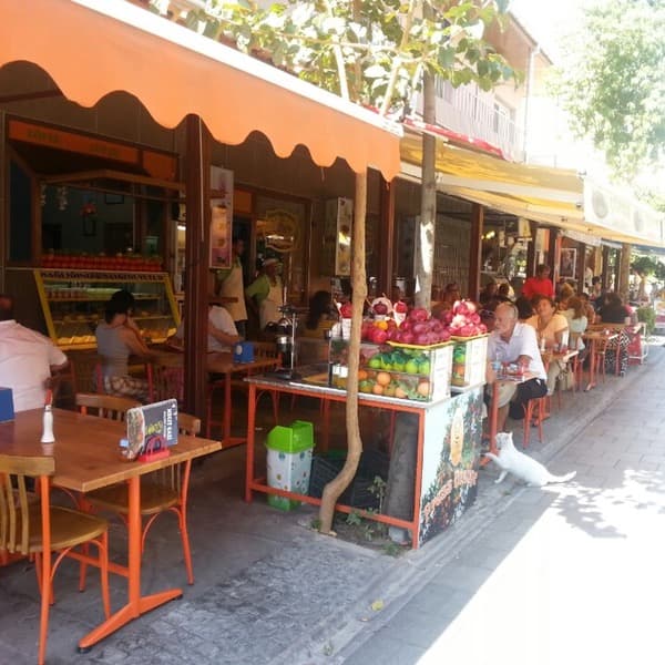 Seçkin Ciğerci | Mecit Gazi - Selçuk